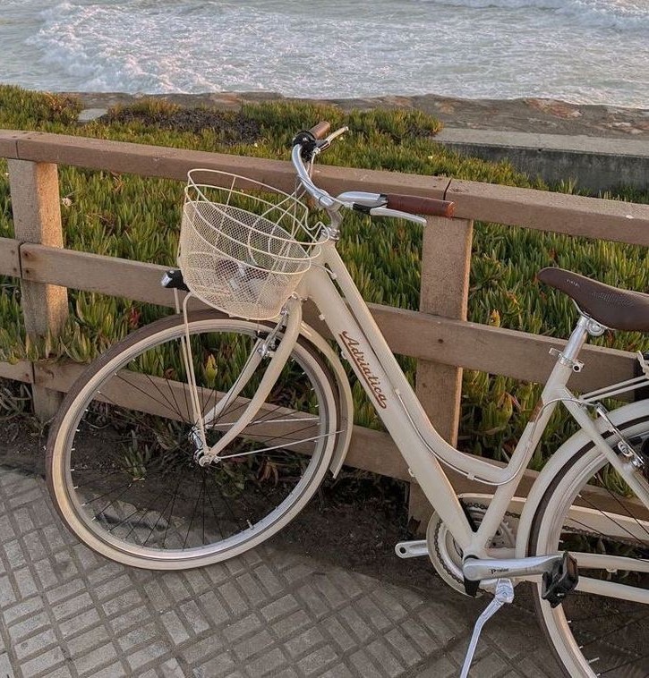 Bike Sharing Analysis: Uncovering Urban Mobility Patterns | Aipun